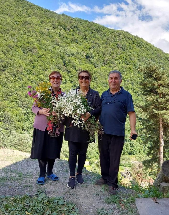 Guesthouse Gama In Khevsureti Roshka Luaran gambar