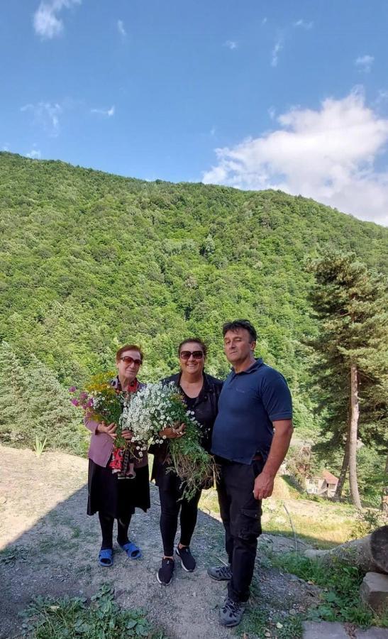 Guesthouse Gama In Khevsureti Roshka Luaran gambar