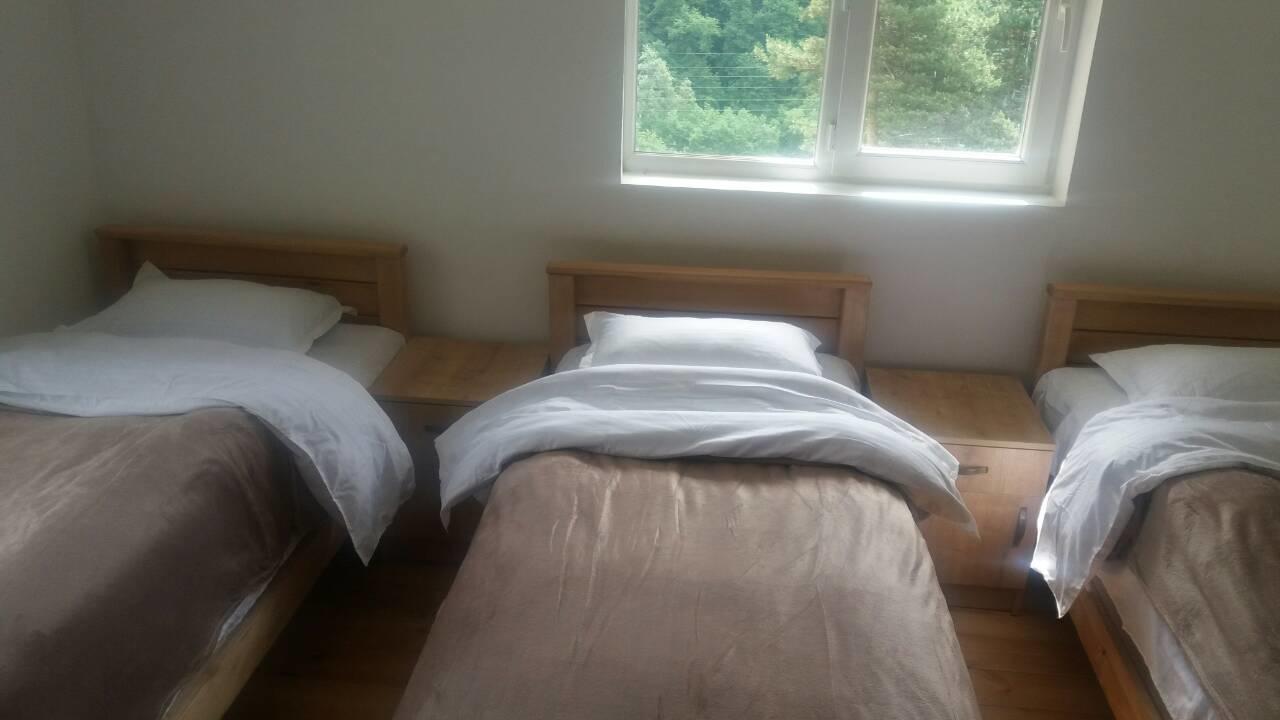 Guesthouse Gama In Khevsureti Roshka Luaran gambar