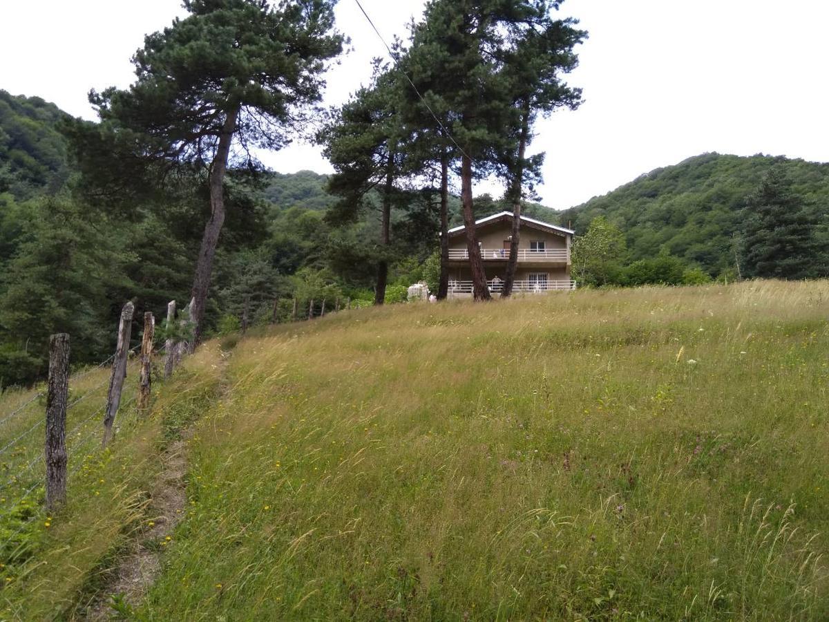 Guesthouse Gama In Khevsureti Roshka Luaran gambar