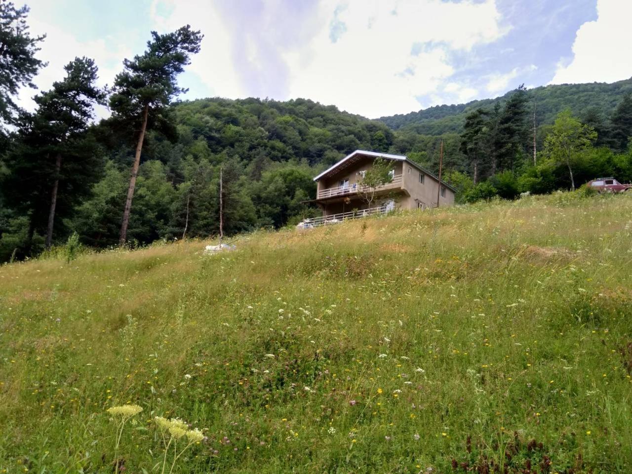 Guesthouse Gama In Khevsureti Roshka Luaran gambar
